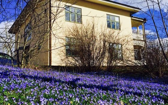 Blicks kontor med vårblommor framför